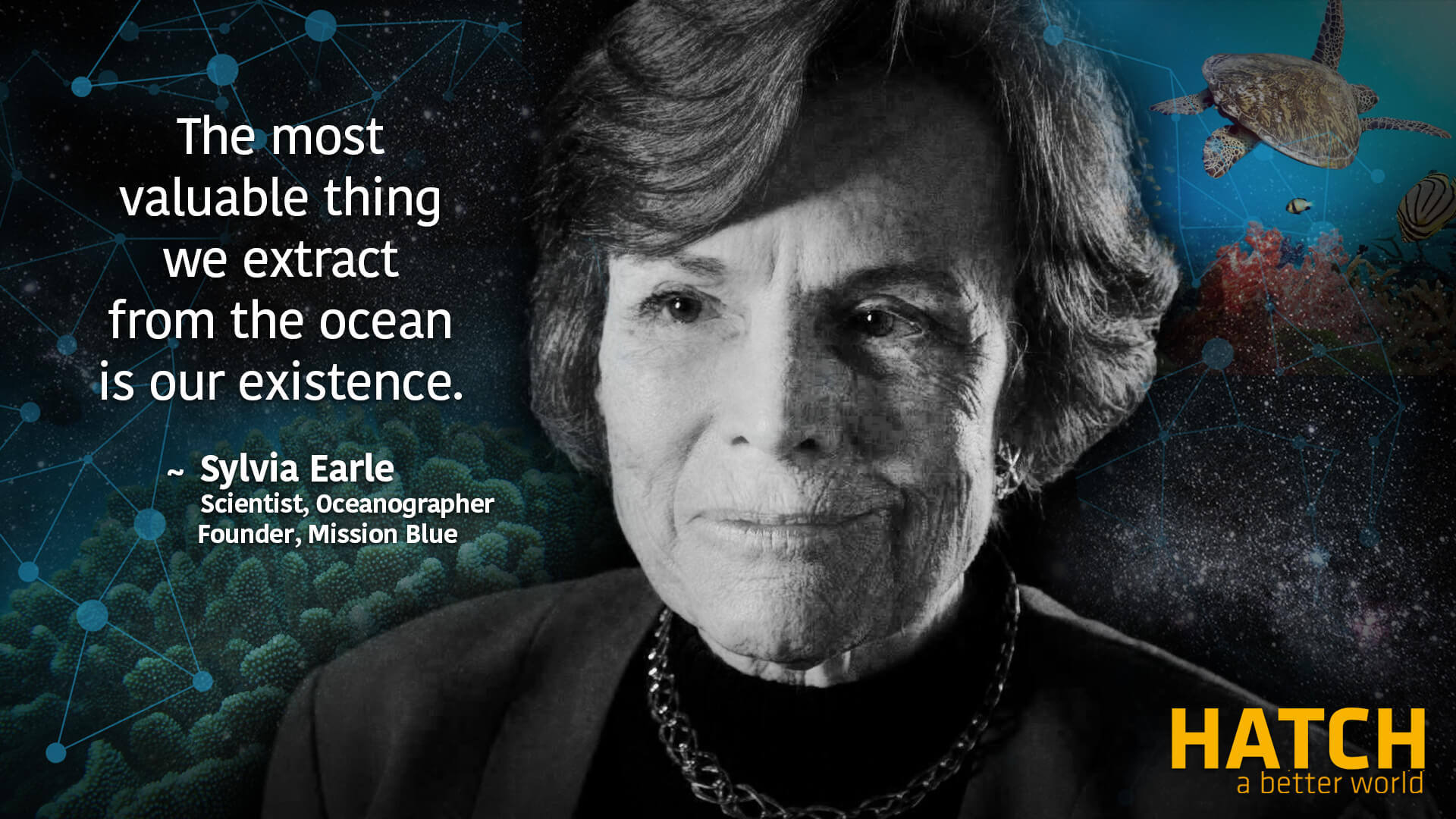 Dr Sylvia Earle Activates                 the HATCH Network